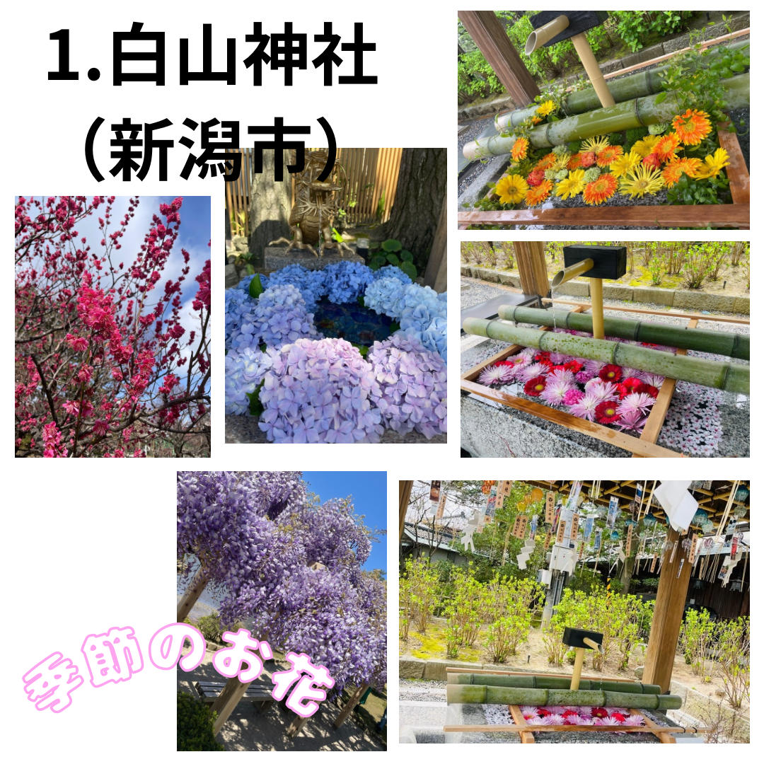 新潟スポット